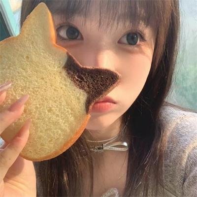犬爱奇缘